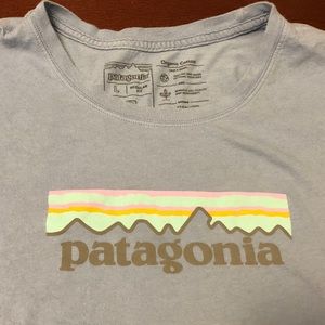 Patagonia light blue women’s organic T-shirt